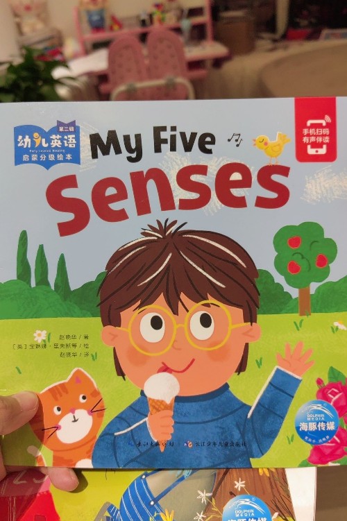 my five senses