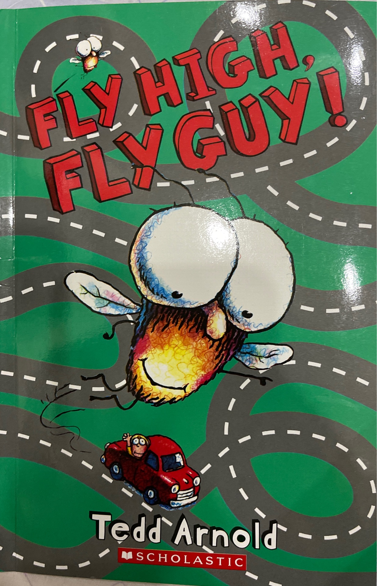 Fly High, Fly Guy!