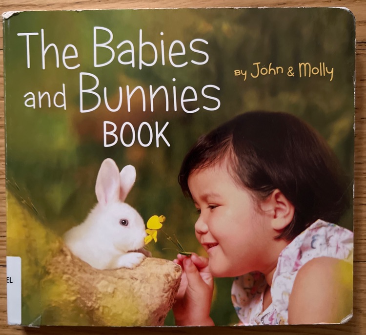 The babies and bunnies book