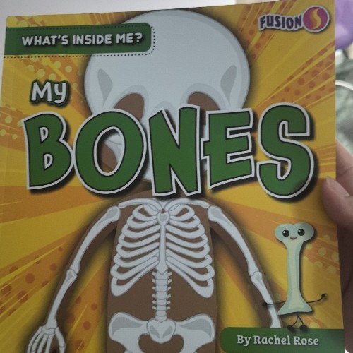 whats inside me my bones