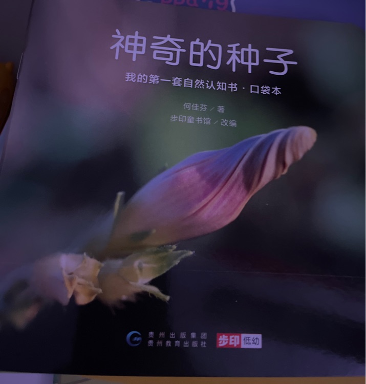 神奇的種子