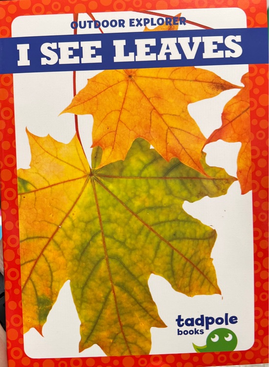 I see leaves