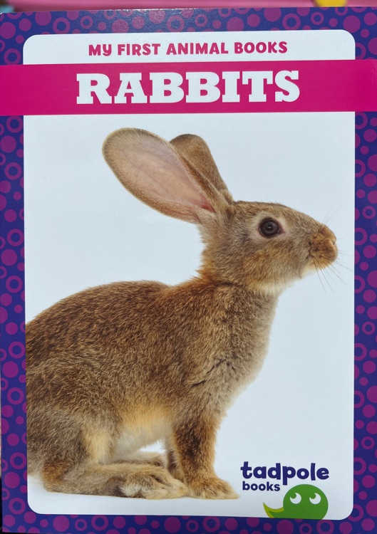 Rabbits