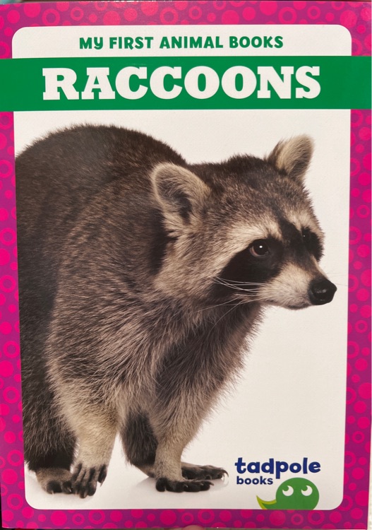 Raccoons