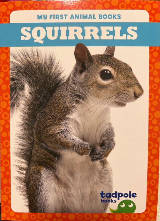 Squirrels