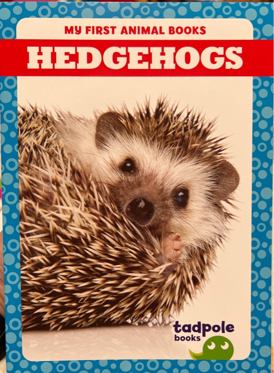 Hedgehogs