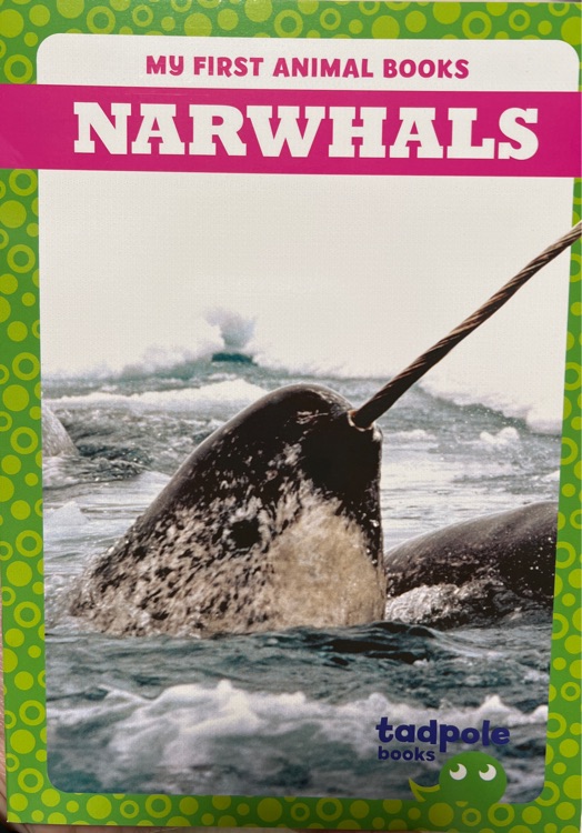 Narwhals