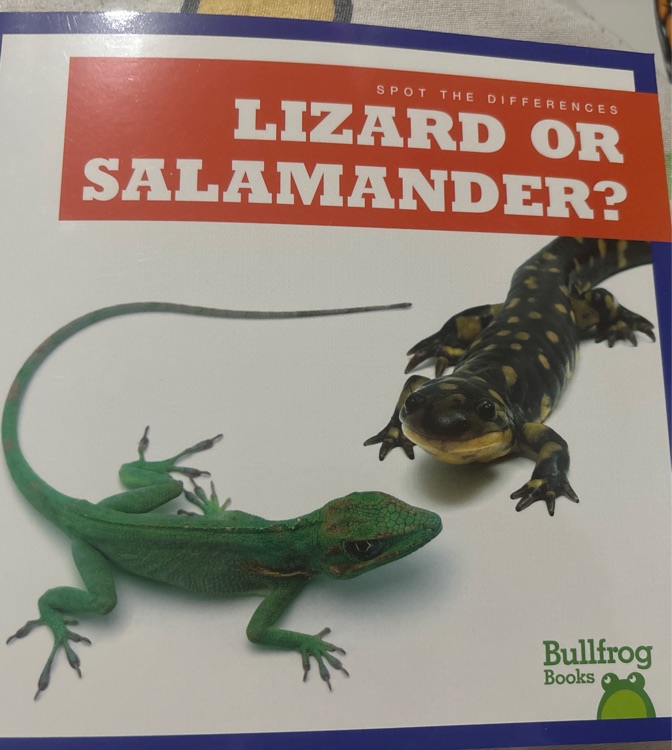 Lizard or salamander