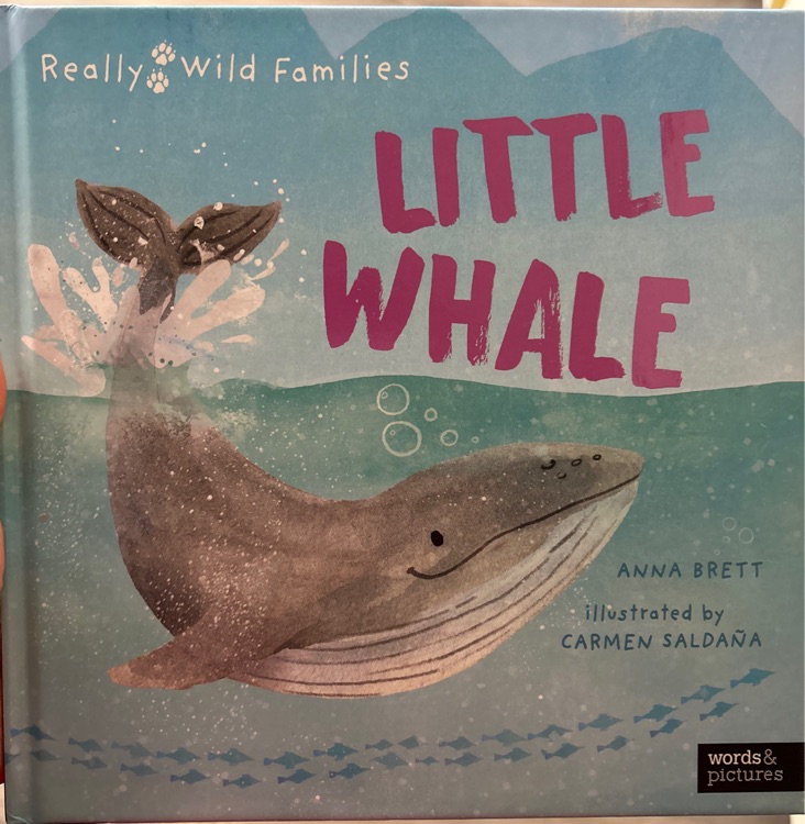 Little whale