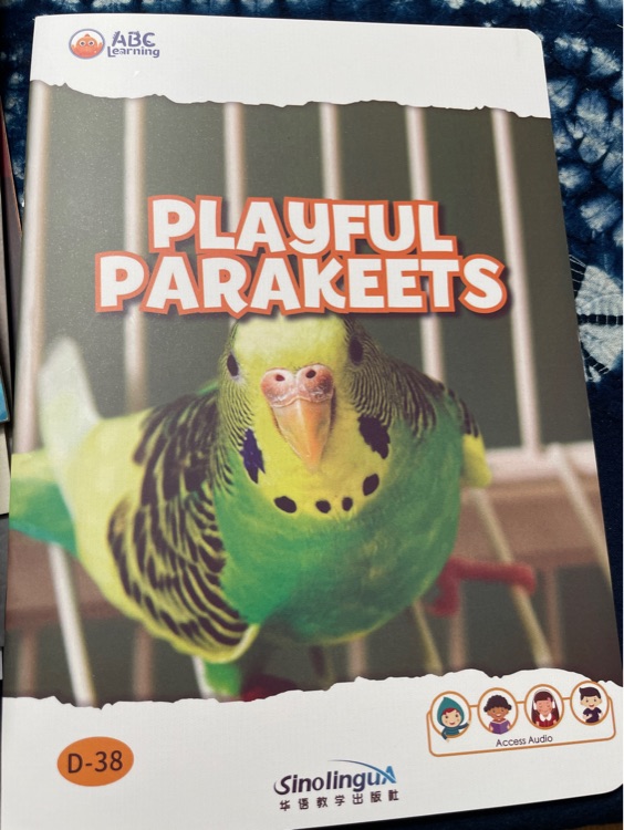 playful parakeets