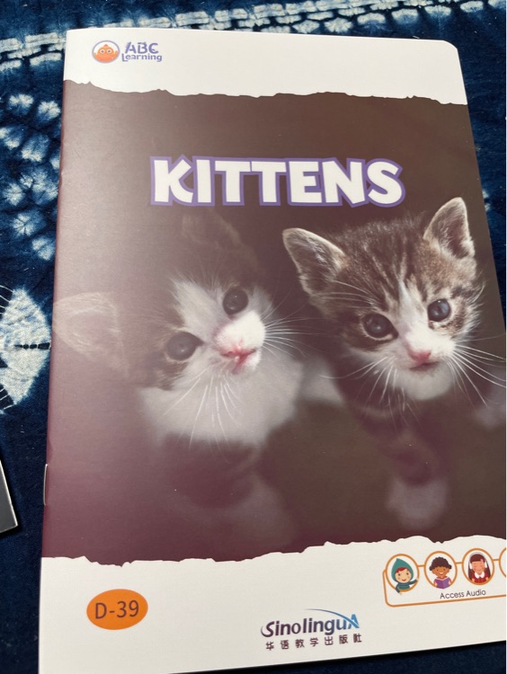 kittens