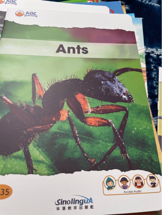 ants