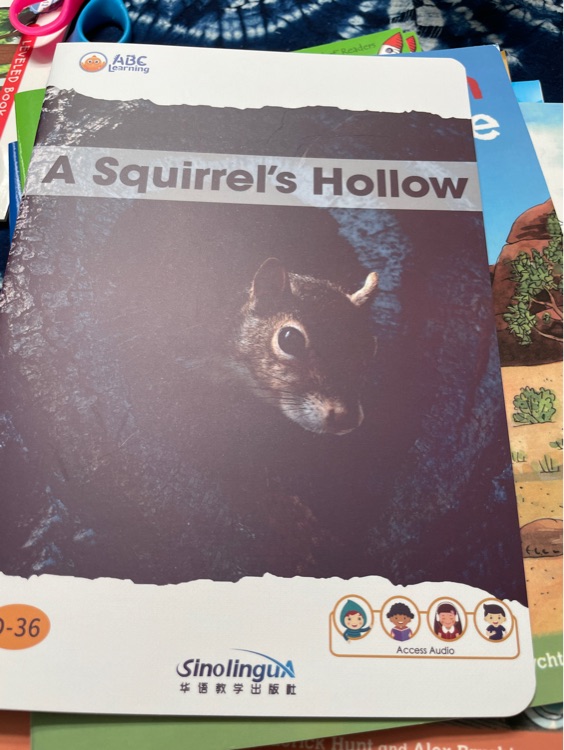 a squirrel's hollow