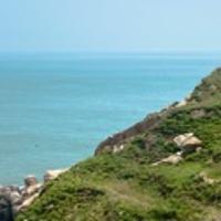 小魚兒 寶寶