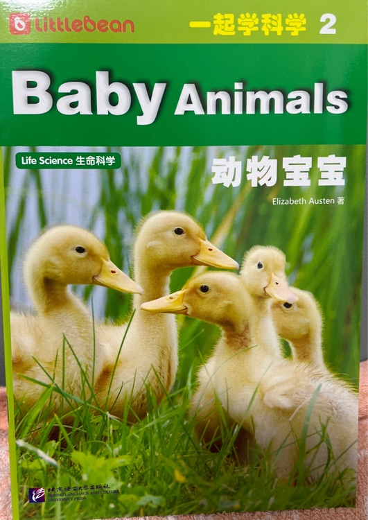 Baby Animals