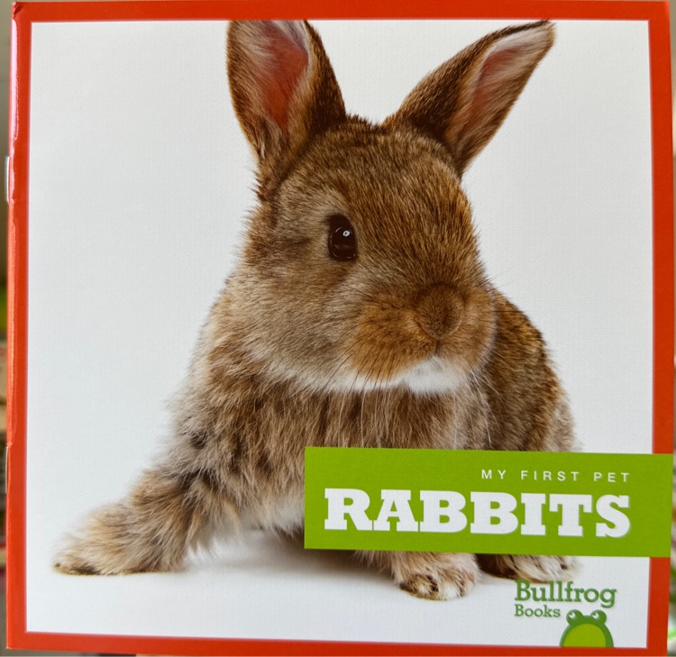 Rabbits(Bullfrog Books: My First Pet)