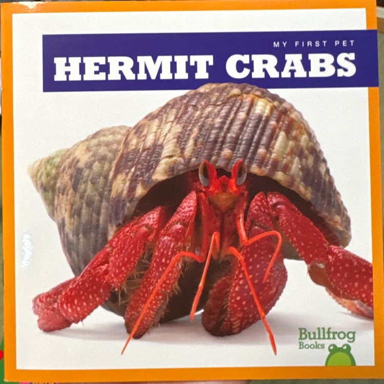 Hermit Crabs(Bullfrog Books: My First Pet)