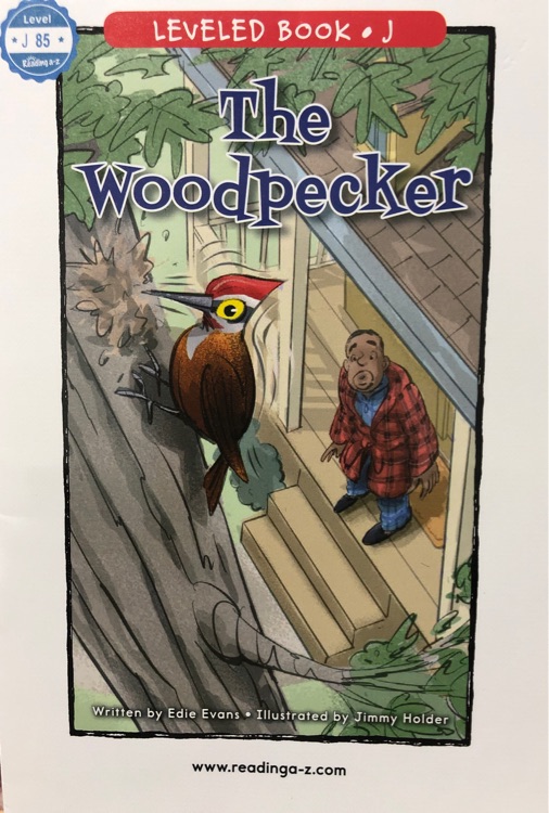 the woodpecker