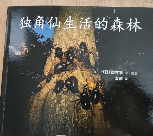 獨(dú)角仙生活的森林