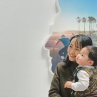 冷冷冷不冷