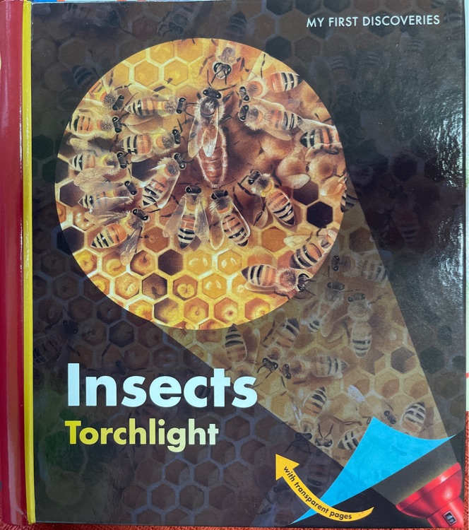 My First Discoveries Insects Torchlight