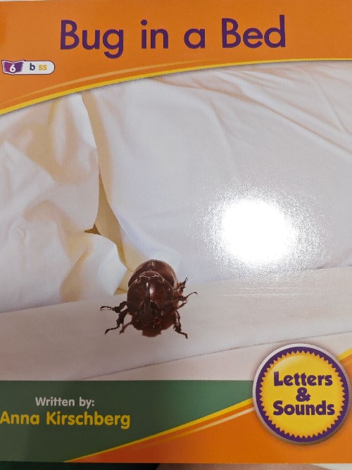 bug in a bed