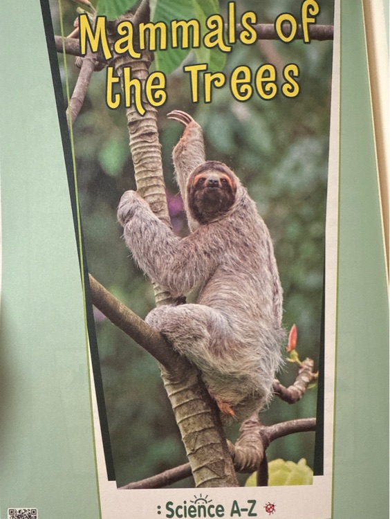 Science a-z/G3-G4/mammals of the Trees