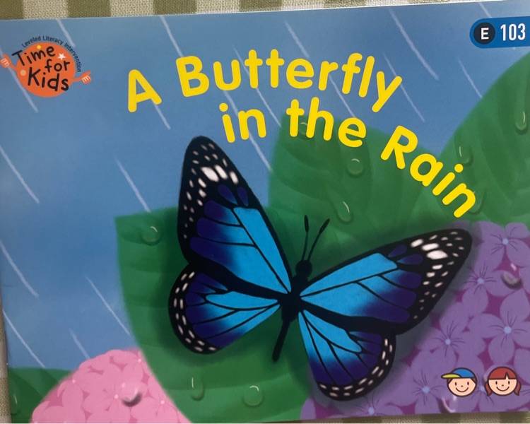 A butterfly in the rain