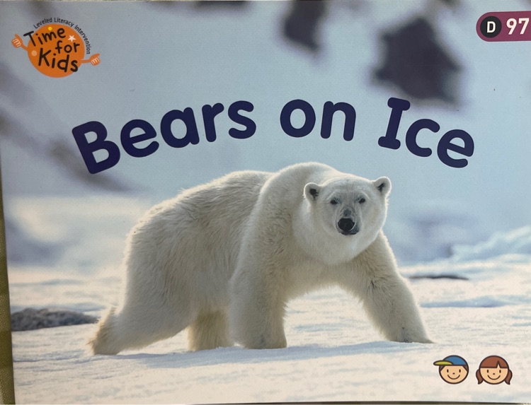 Bears on ice