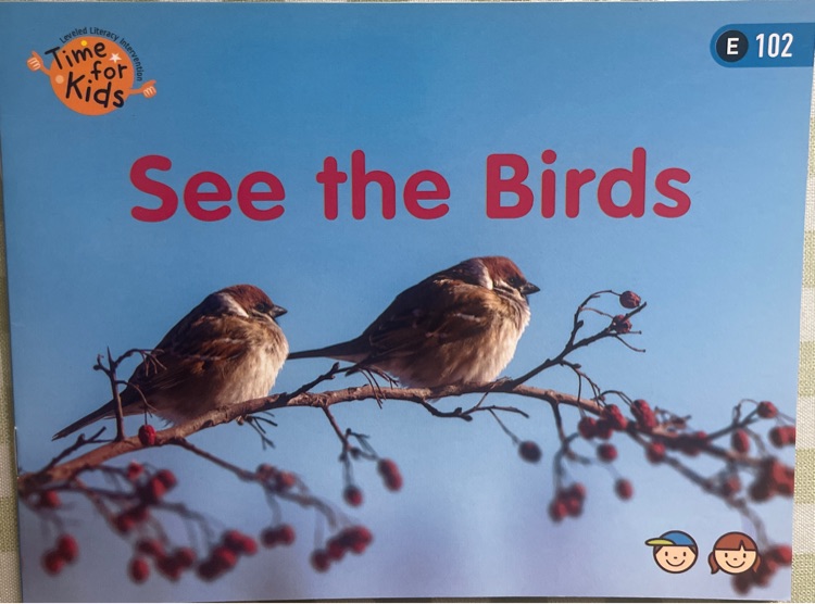 See the birds