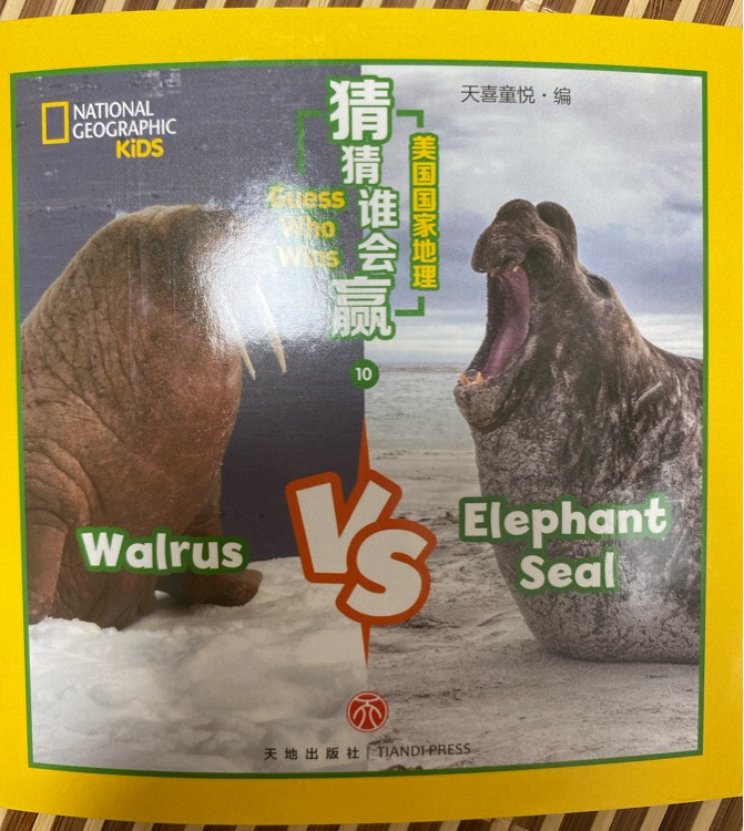 Guess who wins-valrus vs elephant