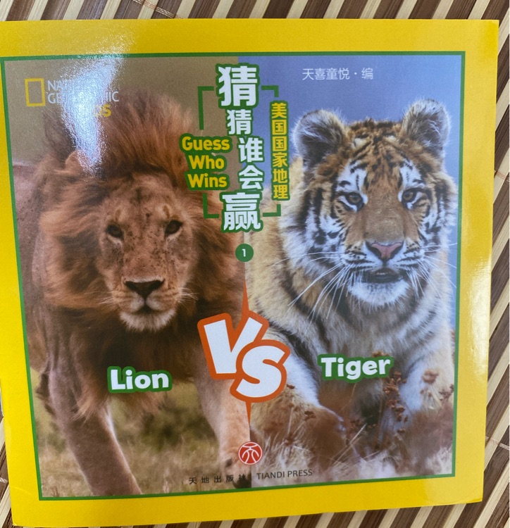 Guess who wins-lion vs tiger