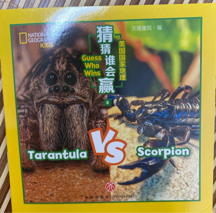 Guess who wins - tarantula vs scorpion