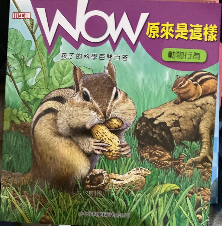 Wow原來是這樣 動物行為