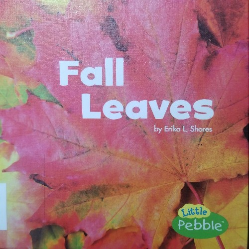 Fall Leaves