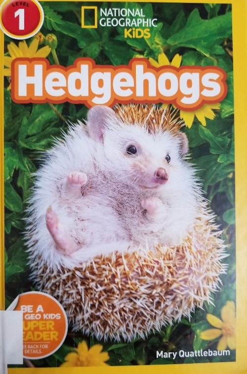 Hedgehogs