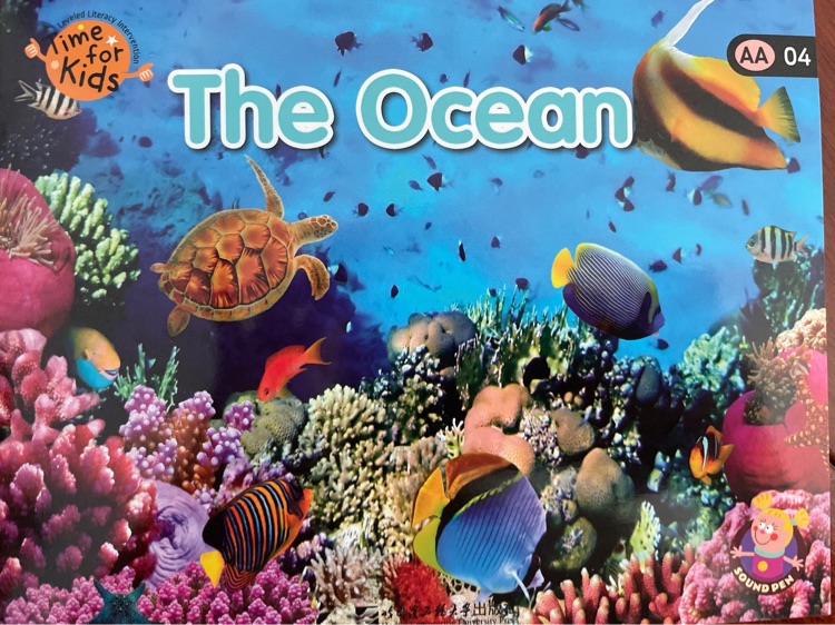 The Ocean