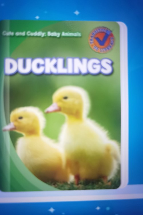 Ducklings