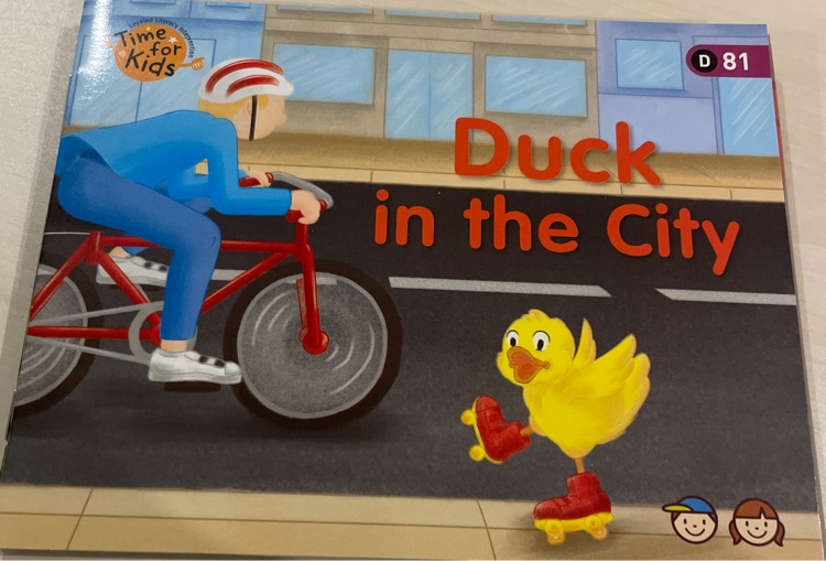 Duck in the city