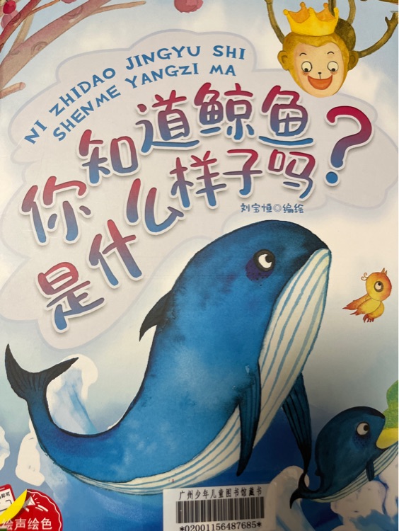 你知道鯨魚(yú)是什么樣子嗎?