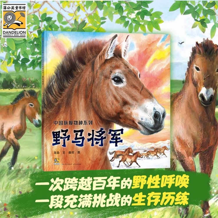 野馬將軍
