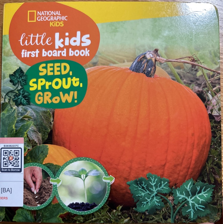 National Geographic little kids first board book: seed, sprout, grow