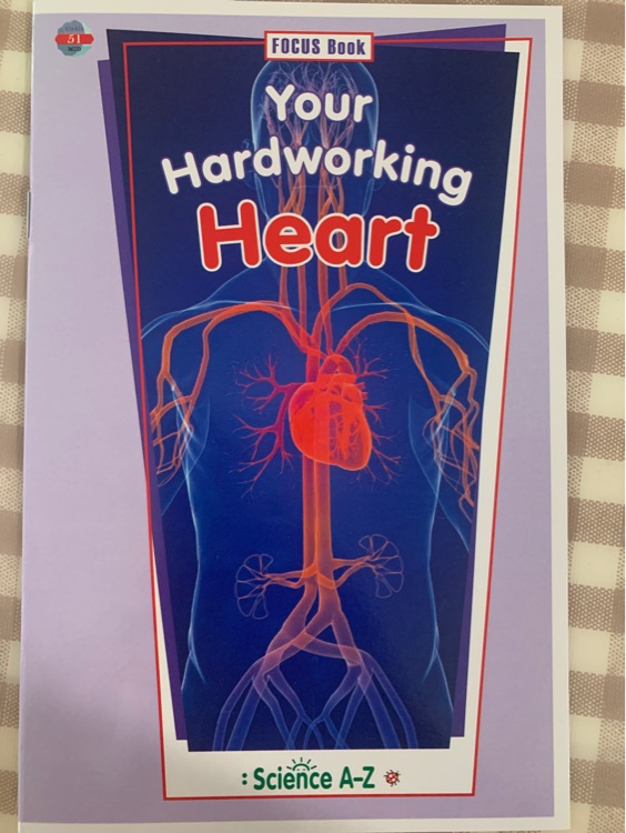 Your hardworking heart