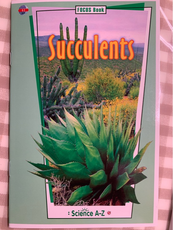 Succulents