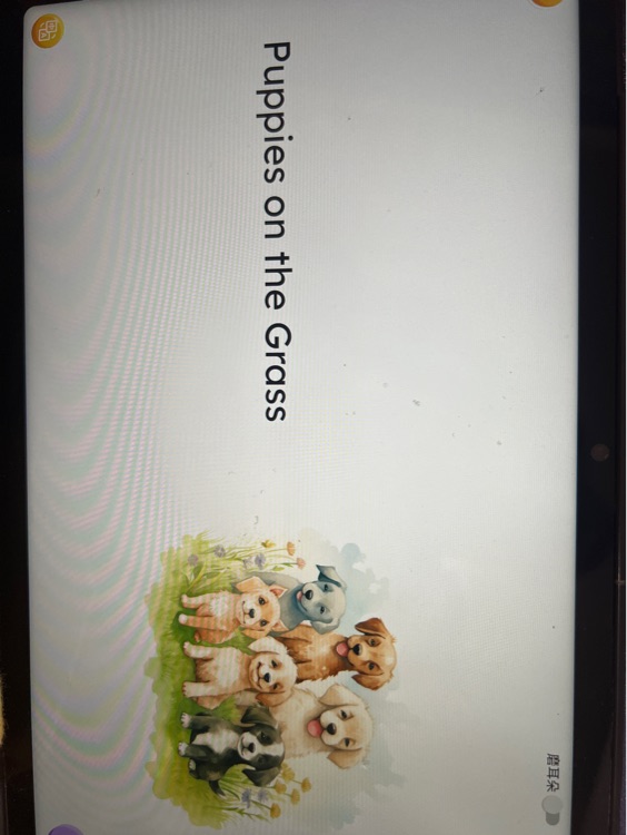 Puppies on the grass