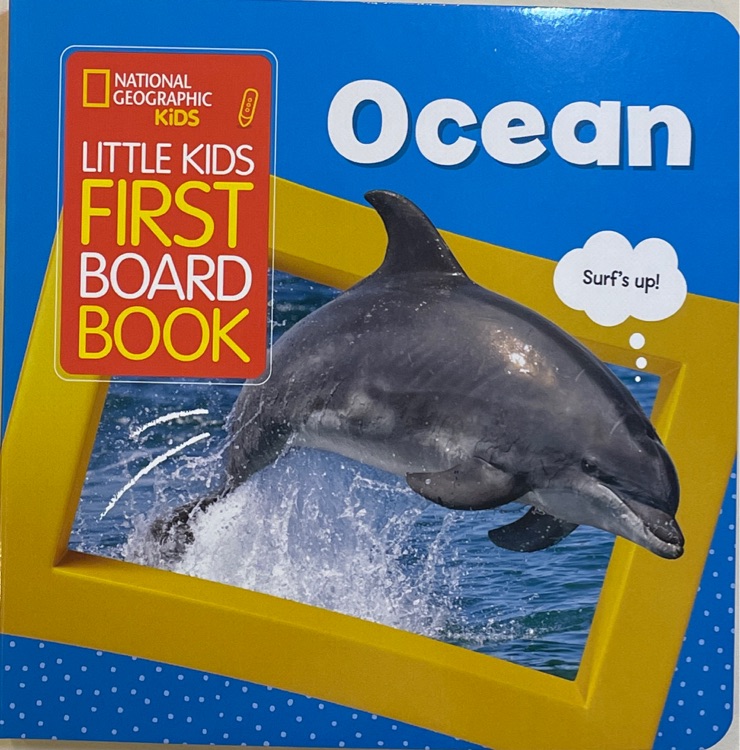 Little Kids First Board Book-Ocean