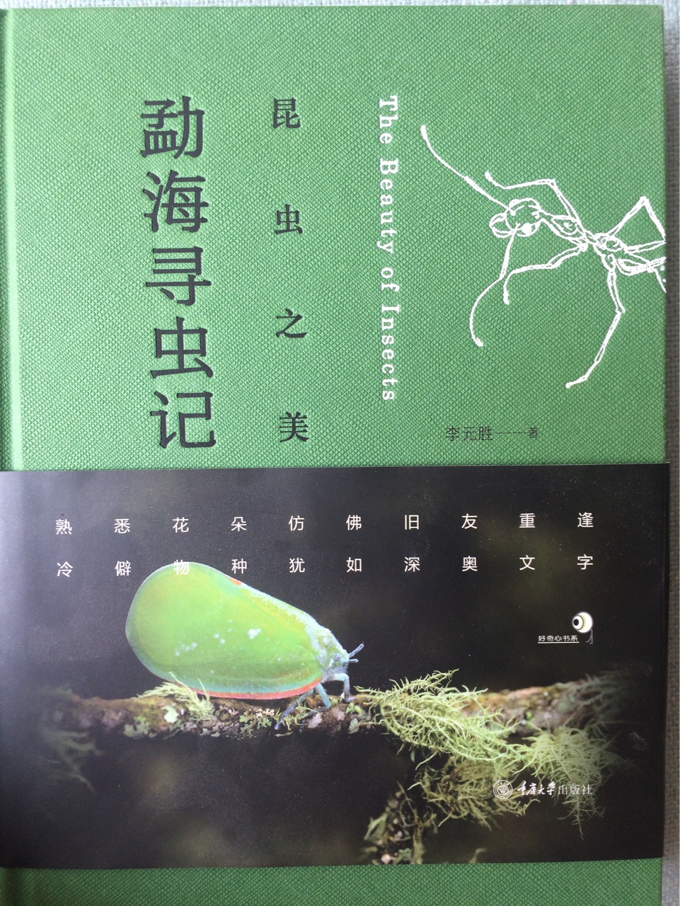 勐海寻虫记