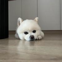 邱煜喆
