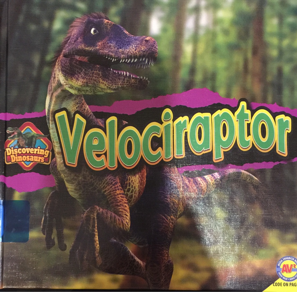 Velociraptor