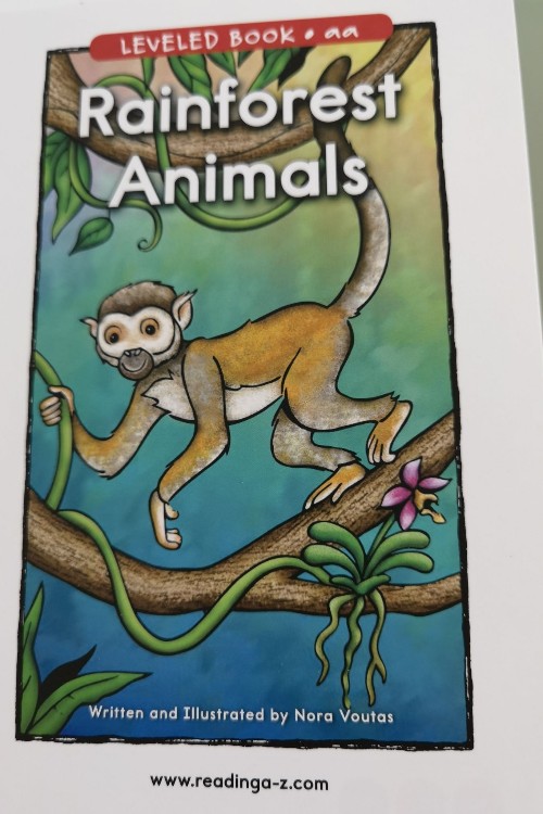 rainforest  animals